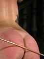 Pics Punishment Cybernetbucks