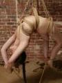 Pics Hogtied Cybernetbucks