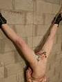Pics Hogtied Cybernetbucks
