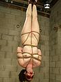Pics Hogtied Cybernetbucks