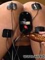 Videos Electrosex & Pain Cybernetbucks