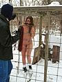 Caged in the snow