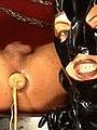Domina and slave Dildo training videos